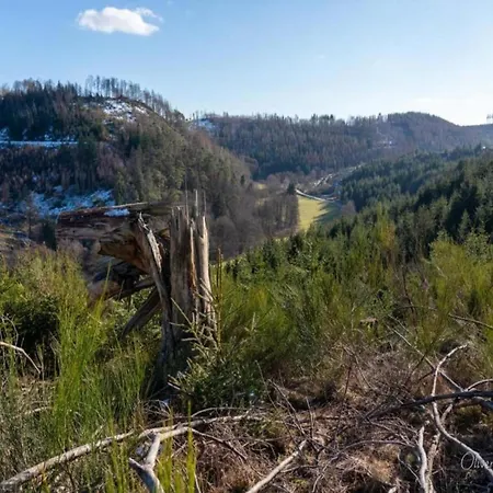 Ferienwohnung, Oberkirchen, Cleaning Included *